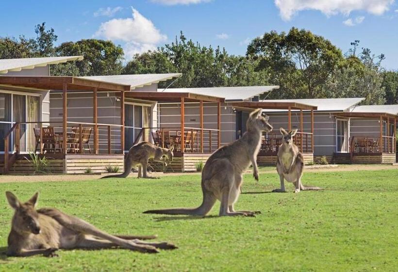 수피리어 코티지, Discovery Parks   Pambula Beach