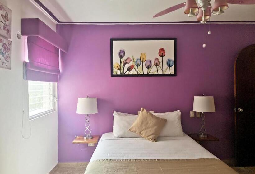 اتاق لوکس, Casa Mallorca
