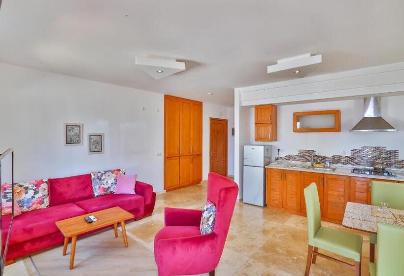 آپارتمان 1 خوابه همکف, çınarlar Apart Hotel Kaş