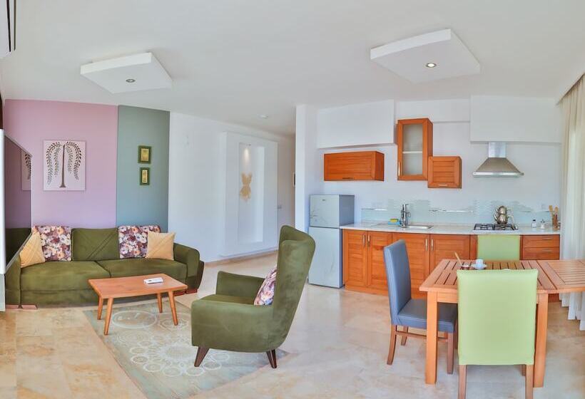 آپارتمان اکونومی 1 خوابه, çınarlar Apart Hotel Kaş