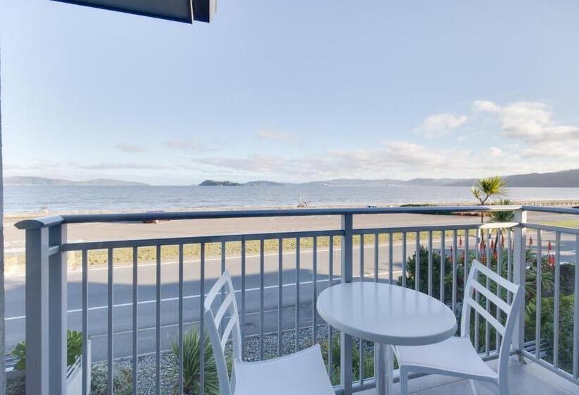 海の見えるスタンダードスタジオ, Bks Premier Motel Esplanade