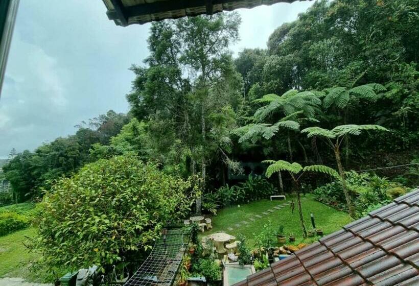 اتاق لوکس, Arundina Cameron Highlands
