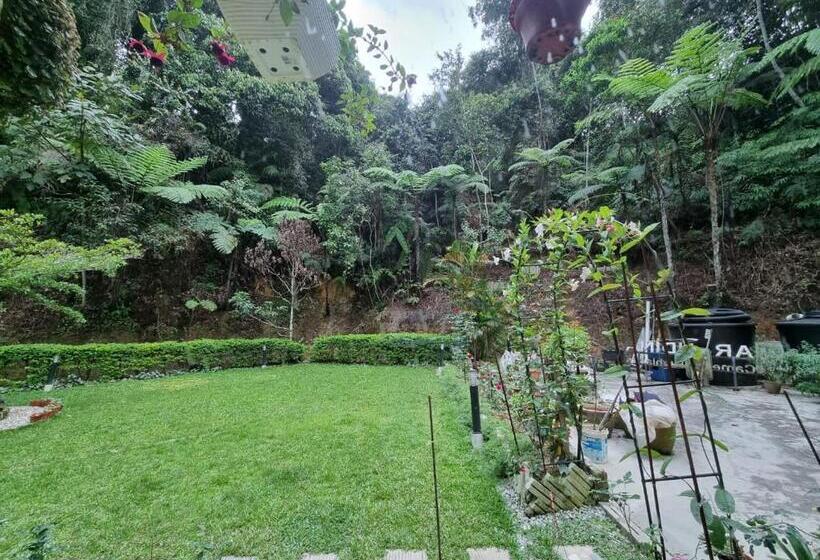 اتاق استاندارد سه نفره, Arundina Cameron Highlands