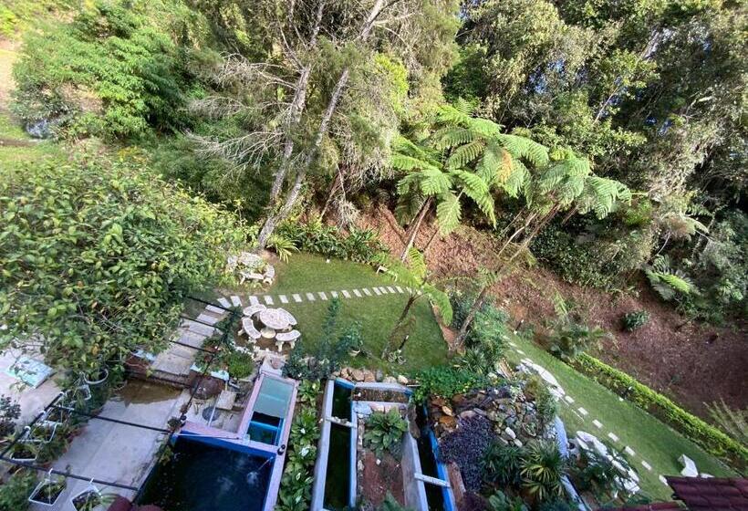 اتاق لوکس سه تخته, Arundina Cameron Highlands