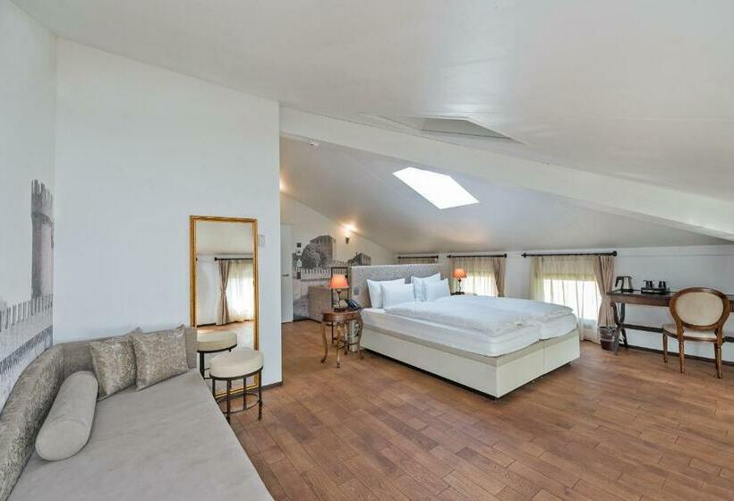 اتاق استاندارد, Boutique & Business Hotel La Tureta