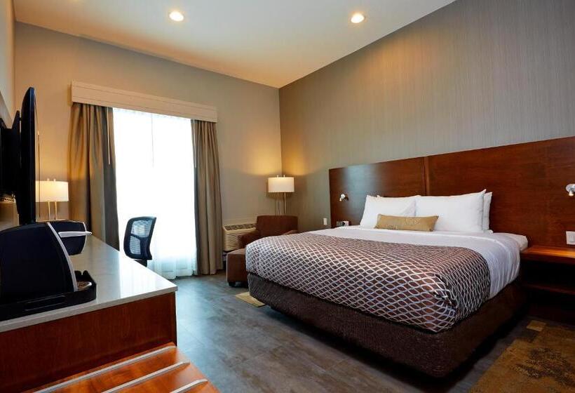 身障者適用キングサイズベッドルーム, Best Western Plus East Side