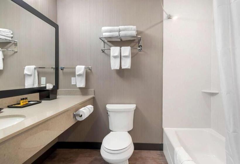 身障者適用キングサイズベッドルーム, Best Western Plus East Side