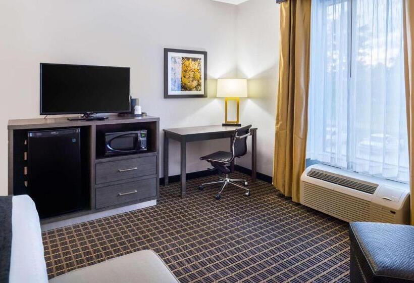 Стандартный Номер Кровать Кинг, Best Western Plus Regency Park