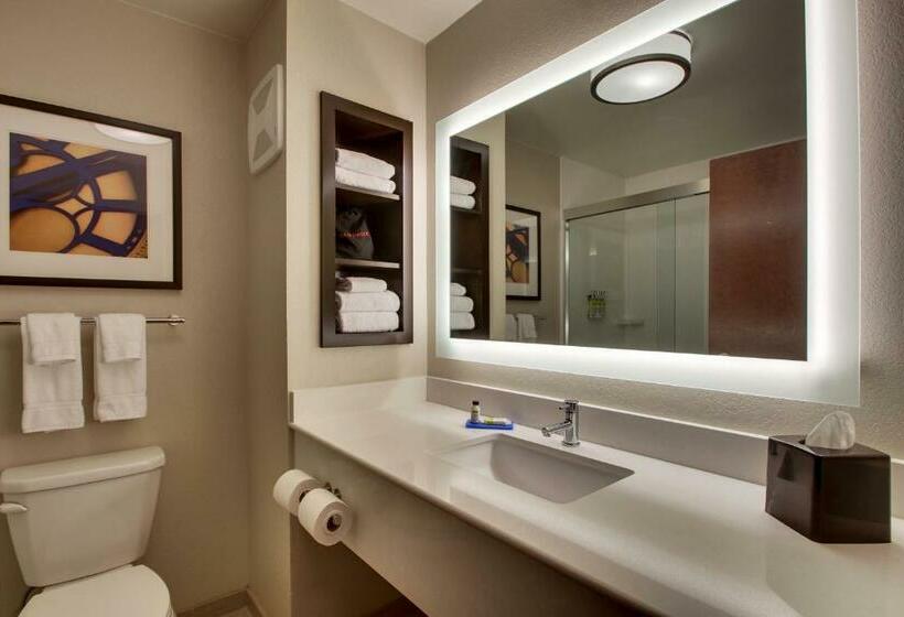 스위트 킹사이즈 침대, Holiday Inn Express & Suites Lancaster East   Strasburg, An Ihg