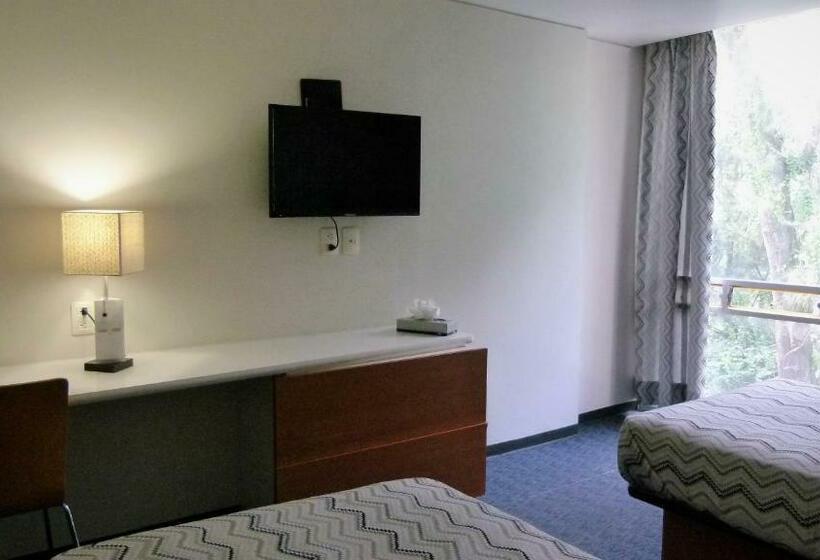 Номер Стандарт, Aristos Express Cdmx