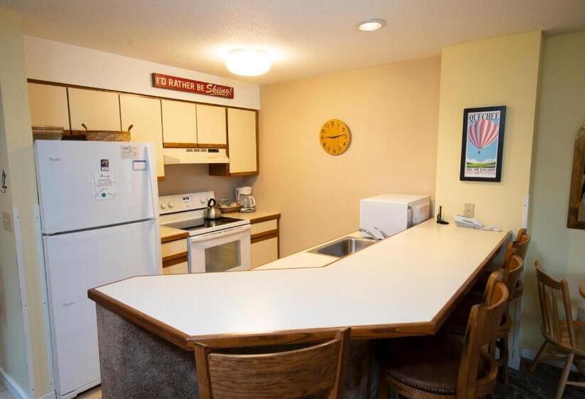Апартаменты 1 Спальня, Mountain Lodge At Okemo