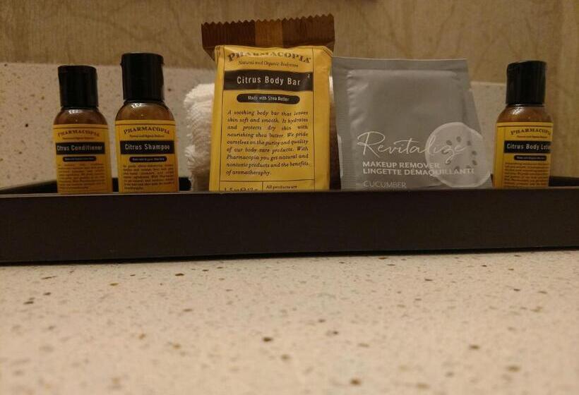 Люкс Кровать Кинг, Best Western Plus Dayton