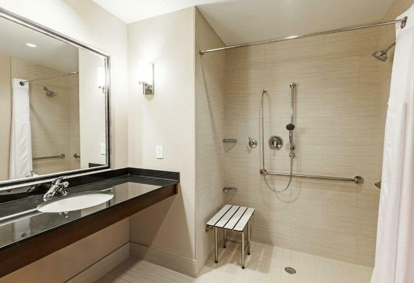 Номер Стандарт Кровать Кинг Адаптированный для Инвалидов, Clarion Hotel The Colony   Plano West