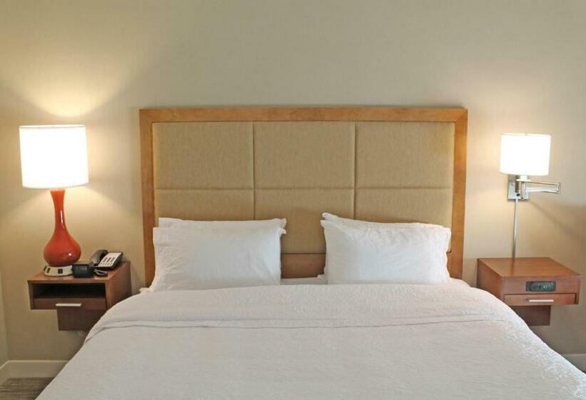 스탠다드 룸 킹사이즈 침대, Hampton Inn Cape Girardeau I55 East