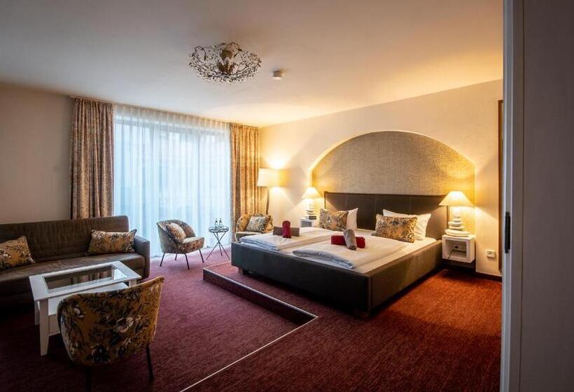 Номер Премиум, Pension Donatus