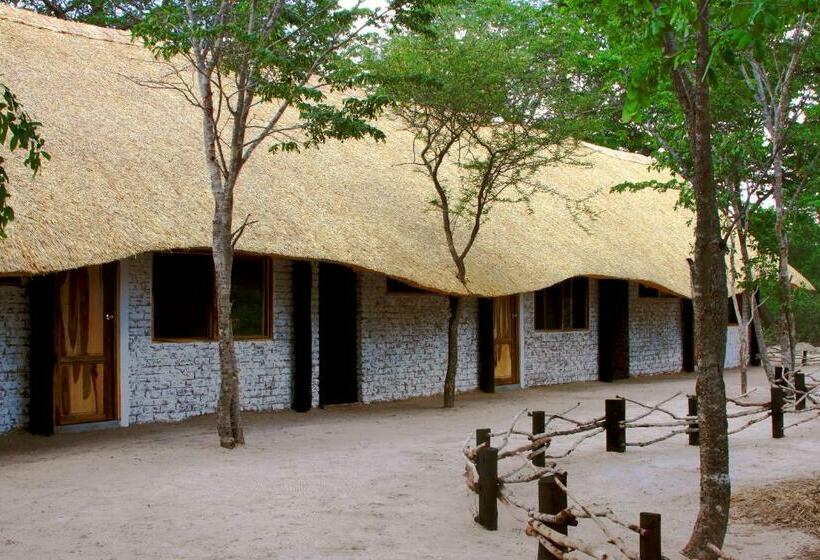 اتاق استاندارد چهار تخته, Gwango Heritage Resort
