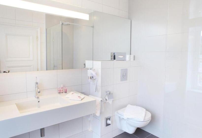 اتاق لوکس, Logis Hôtel Ettenheim