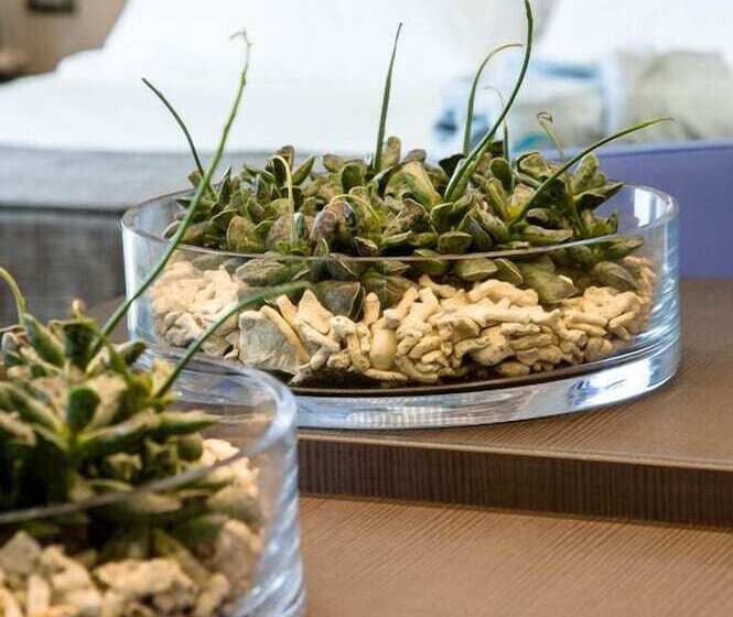 اتاق استاندارد با بالکن, Le Dune Suite