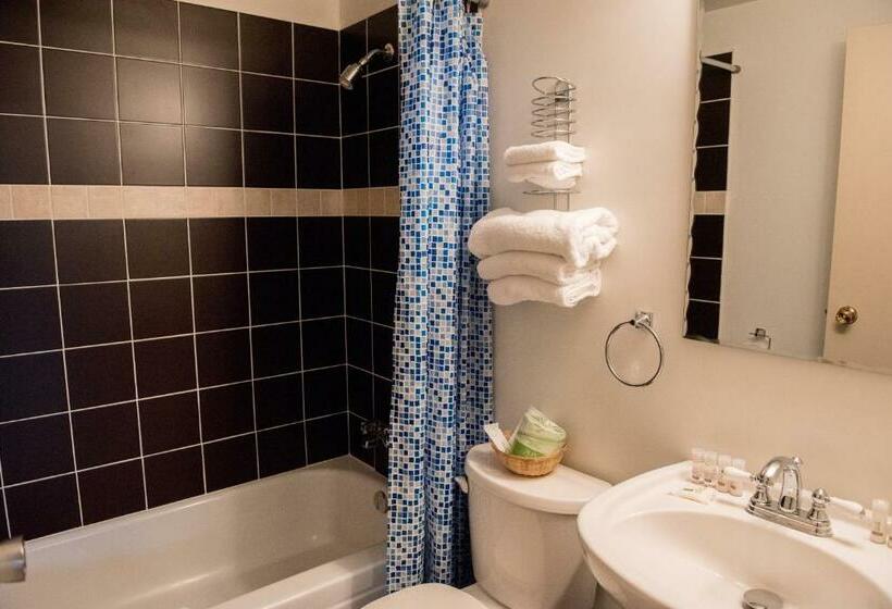 غرفة قياسية, Radium Park Lodge