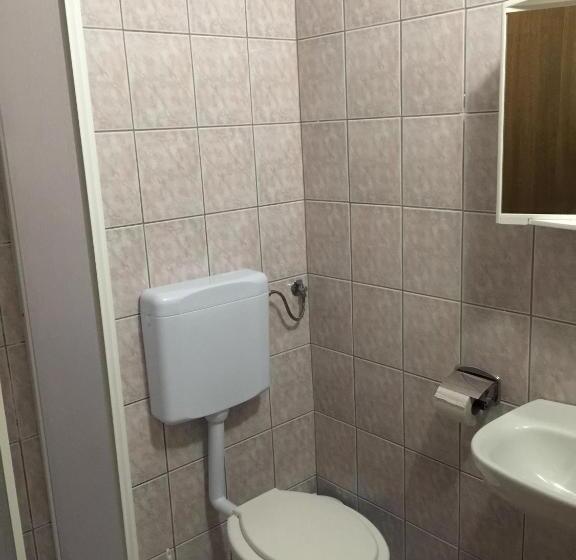اتاق اکونومی, Ruža