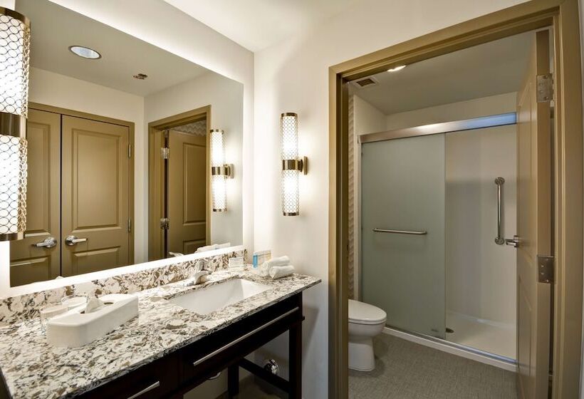 스탠다드 스튜디오 더블 침대, Homewood Suites By Hilton Birmingham Downtown Near Uab