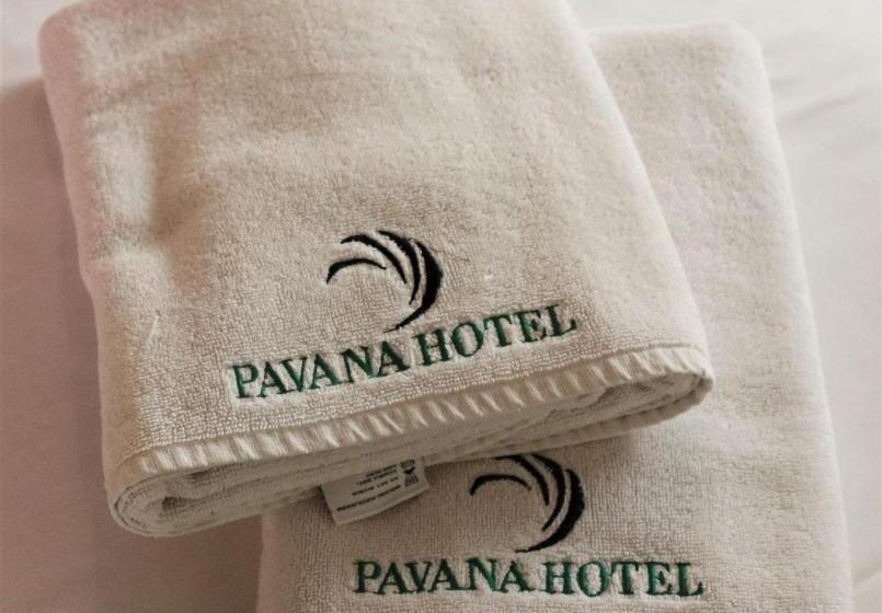 スタンダードシングルルーム, Pavana