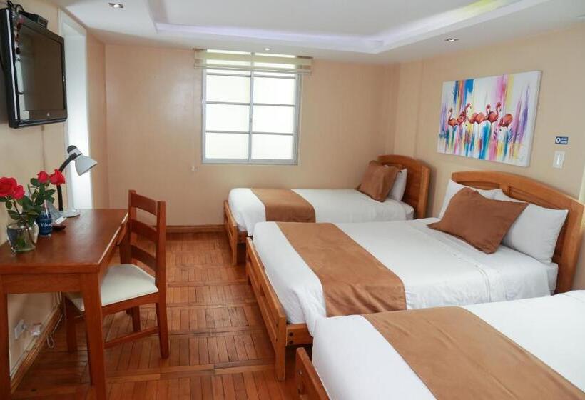 Quarto Triplo Estandar, Carolina Montecarlo