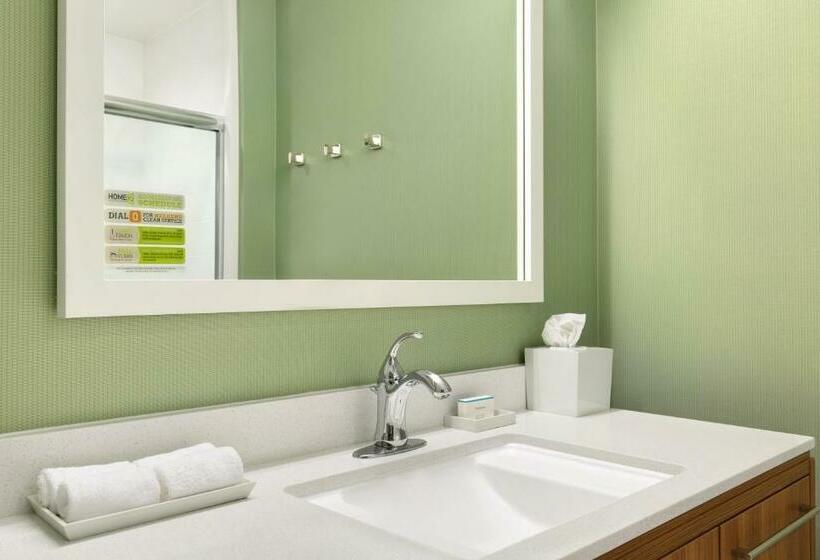 سوئیت با تخت بزرگ, Home2 Suites By Hilton Houston Willowbrook