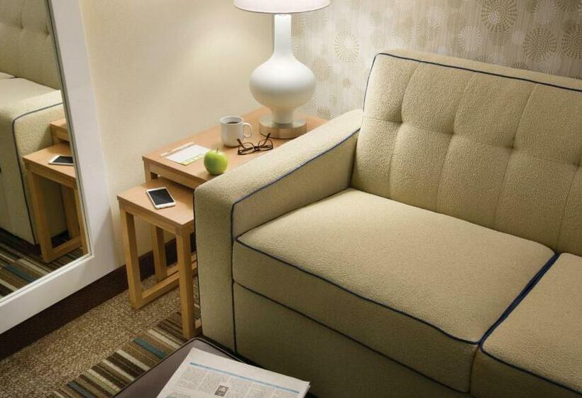 سوئیت با تخت بزرگ, Home2 Suites By Hilton Houston Willowbrook