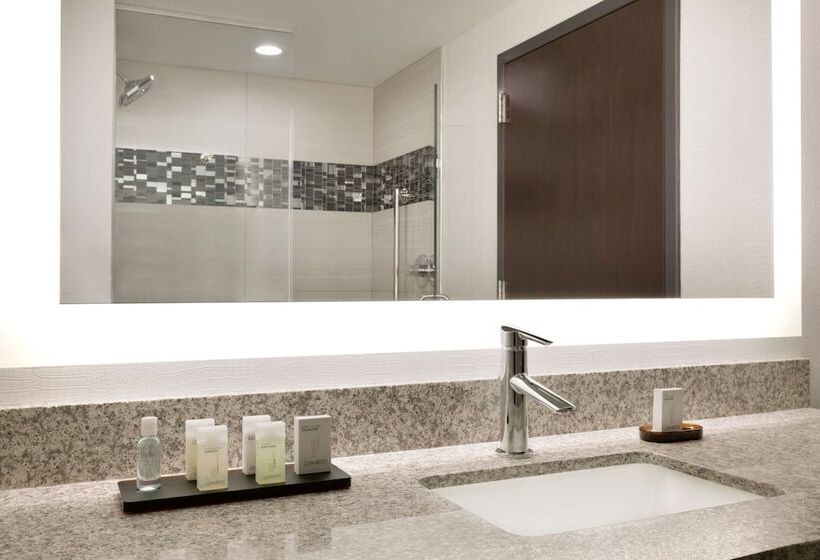 Люкс Premium 2 Спальни, Embassy Suites By Hilton Atlanta Ne Gwinnett Sugarloaf