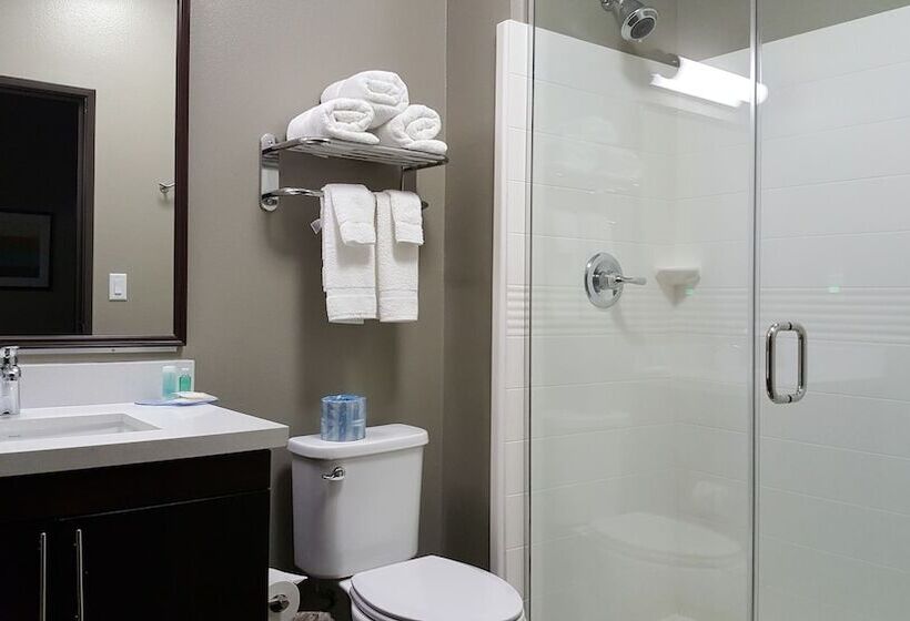 سوئیت برای معلولان, Mainstay Suites Midland