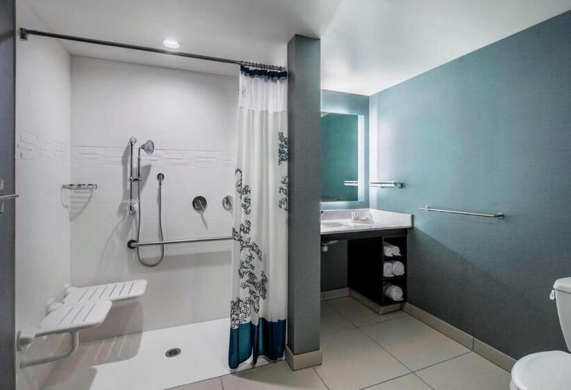 Студио Стандарт Кровать Кинг, Residence Inn By Marriott Regina