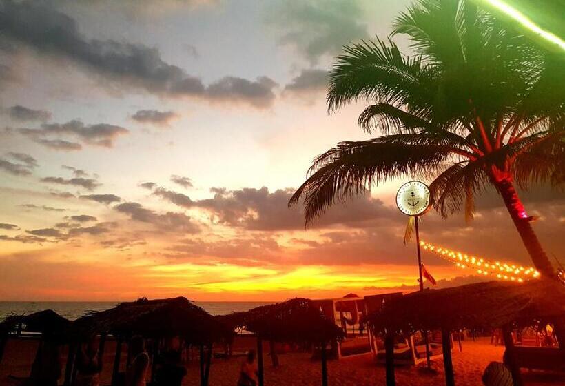 Трехместный Номер Deluxe Вид на Море, Drifters Hotel & Beach Restaurant