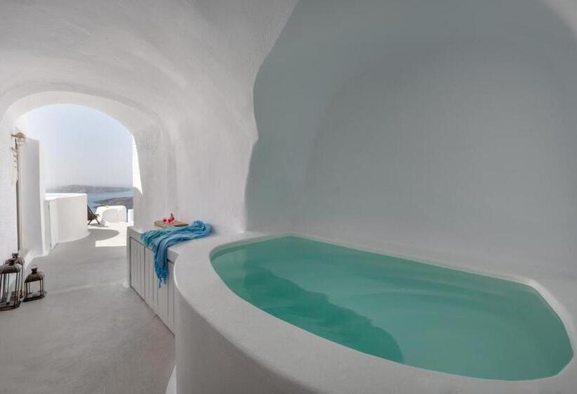 سوئیت اجرایی با مشاهده, Cocoon Suites