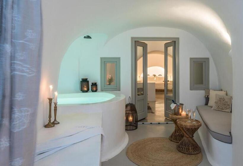 سوئیت اجرایی با مشاهده, Cocoon Suites