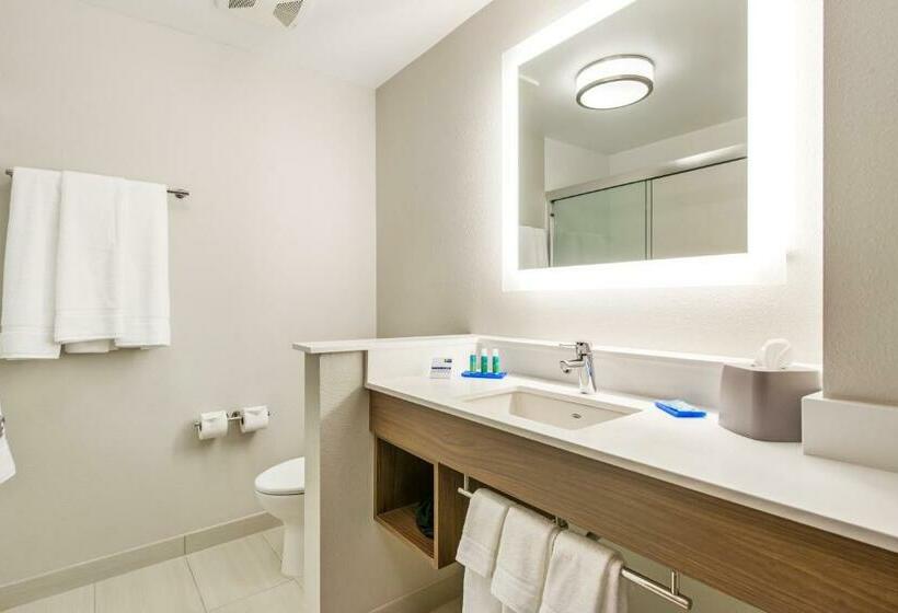 스탠다드 룸, Holiday Inn Express & Suites   Carrollton West, An Ihg