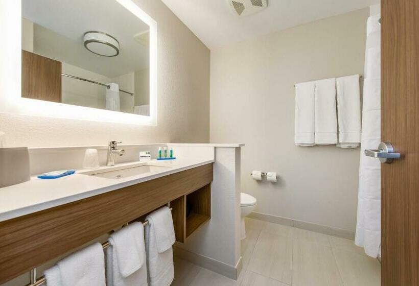 스탠다드 룸, Holiday Inn Express & Suites   Carrollton West, An Ihg