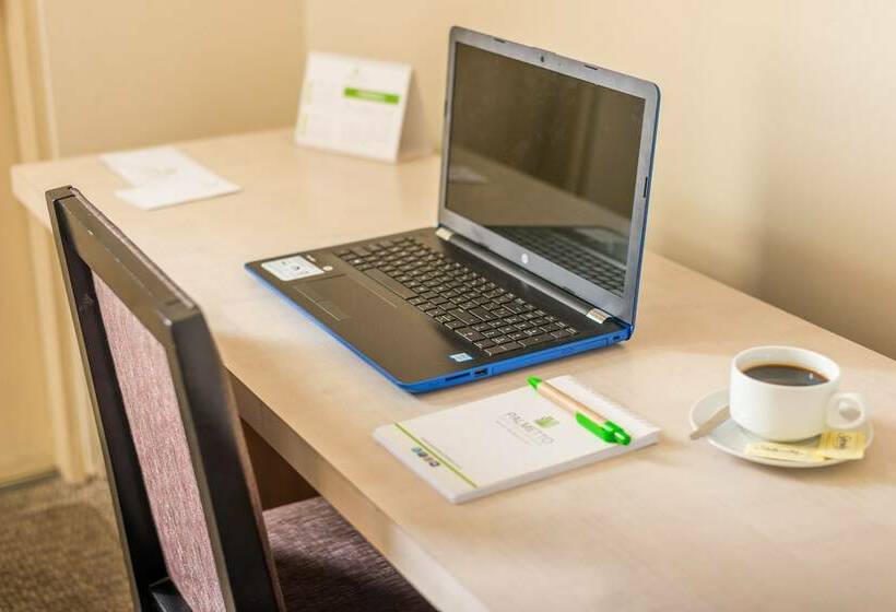 اتاق استاندارد, Palmetto Hotel Business La Perla