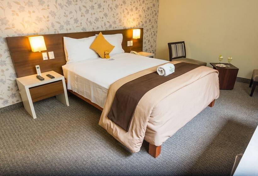 اتاق سوپریور, Palmetto Hotel Business La Perla