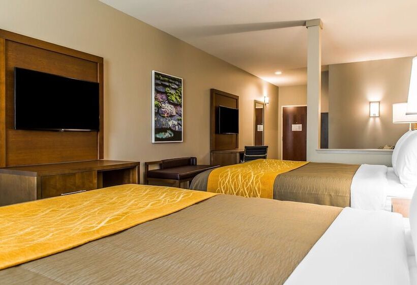 스위트, Comfort Inn & Suites Valdosta