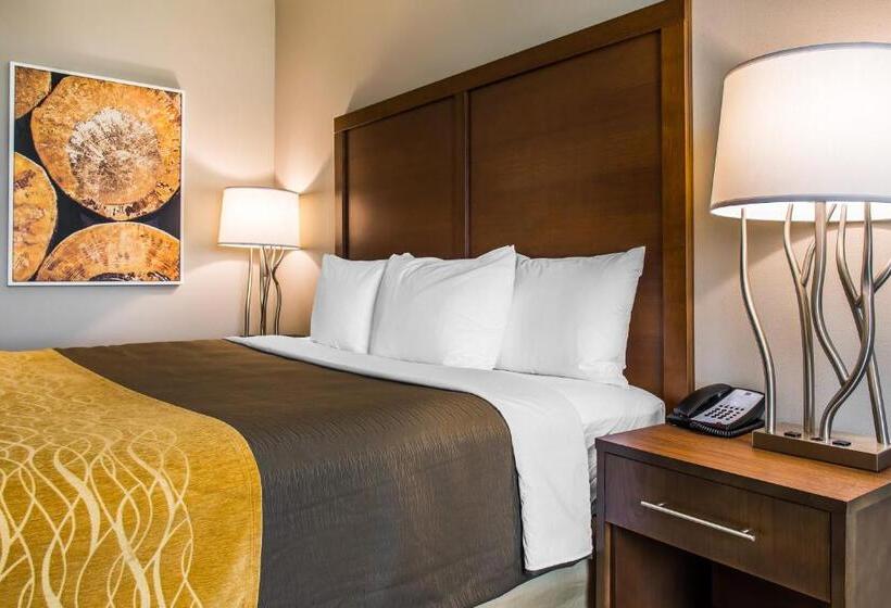 장애인을 위한 킹사이즈 침대 스탠다드 룸, Comfort Inn & Suites Valdosta