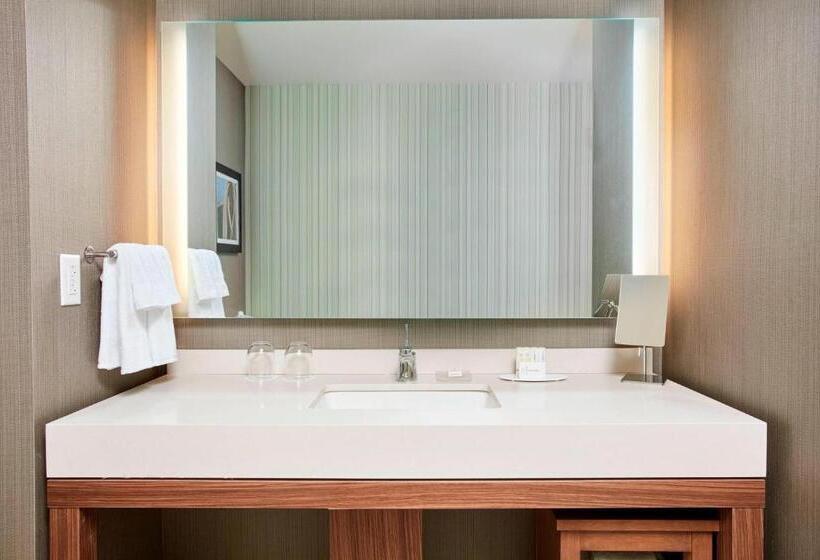سوئیت با تخت بزرگ, Courtyard By Marriott Erie Bayfront
