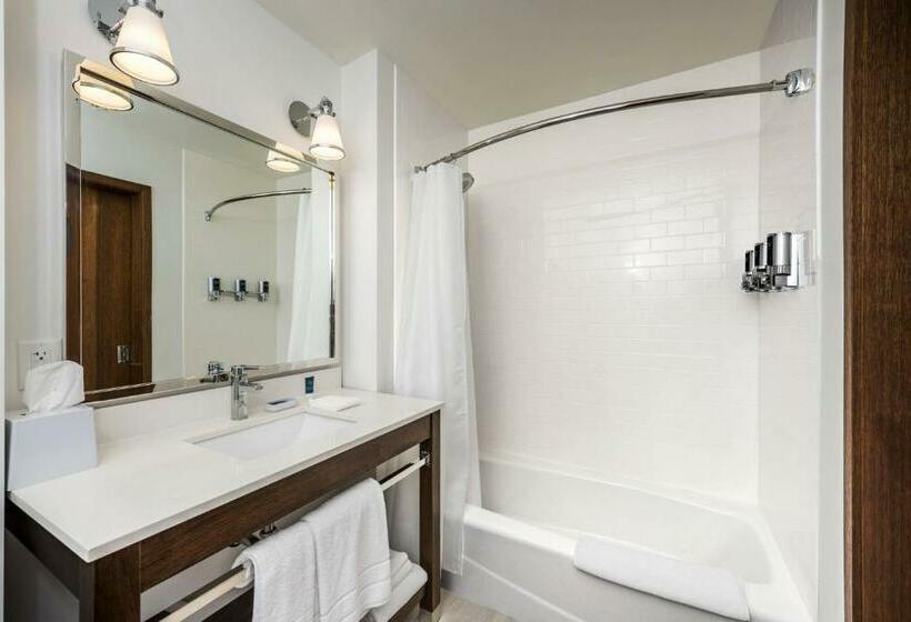 带大床的标准间, Four Points By Sheraton Houston Energy Corridor