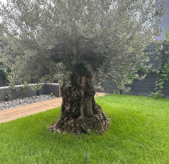 اتاق استاندارد با چشم‌انداز استخر, Mo&vi Camera In Villa Con Piscina   Vicino F1 Parco Monza