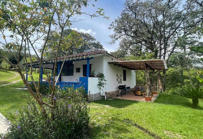 Дом 1 Спальня, Hacienda San Francisco