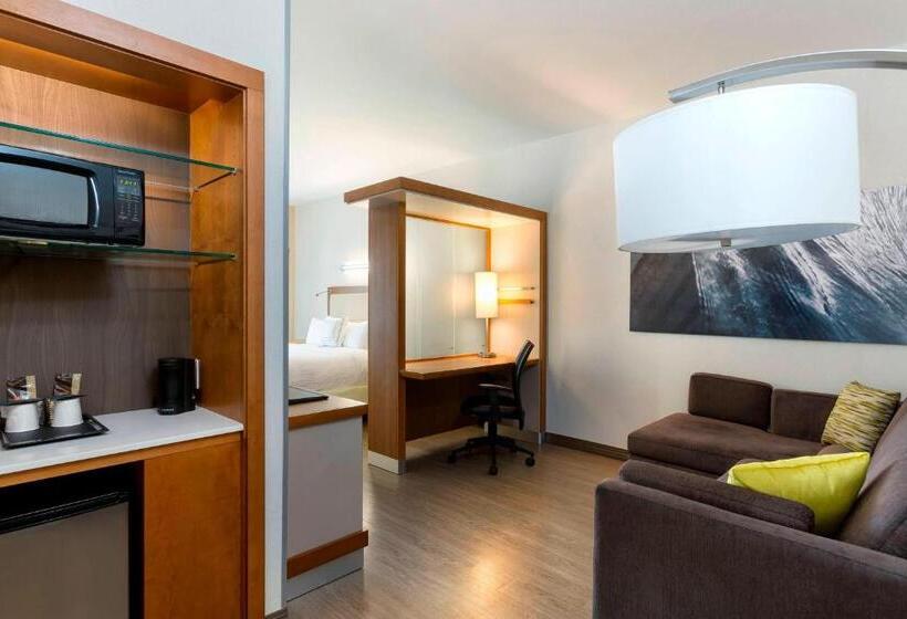 Студио Стандарт Кровать Кинг, Springhill Suites Orange Beach At The Wharf
