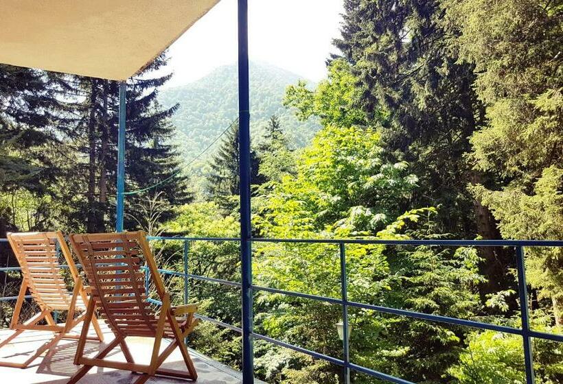 اتاق استاندارد با چشم‌انداز, Nunisi Forest Hotel & Spa