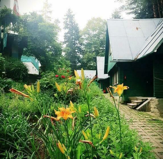 اتاق استاندارد سه نفره, Nunisi Forest Hotel & Spa