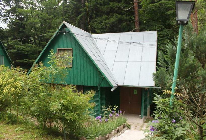 اتاق خانوادگی, Nunisi Forest Hotel & Spa