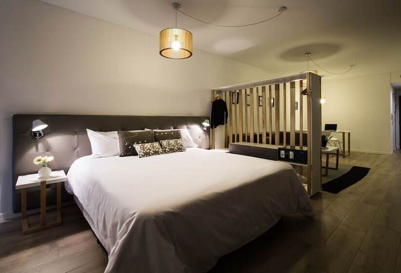 آپارتمان سوپریور 1 خوابه, Flaat Recoleta Plaza